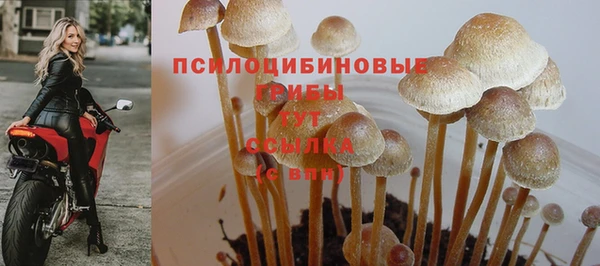 a pvp Абинск