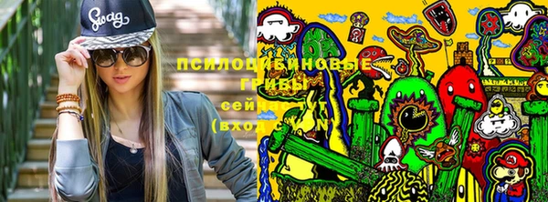 кокс Абдулино