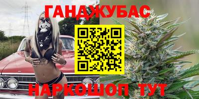 сатива Можга