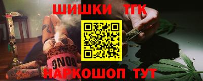 сатива Можга