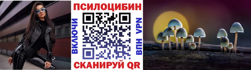 Галлюциногенные грибы GOLDEN TEACHER  kraken зеркало  Домодедово  цена  