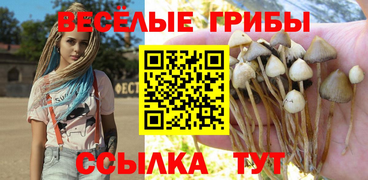 Галлюциногенные грибы Cubensis  наркошоп  Домодедово  Вход с VPN 